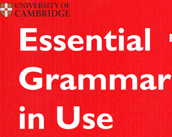 essential grammar in use